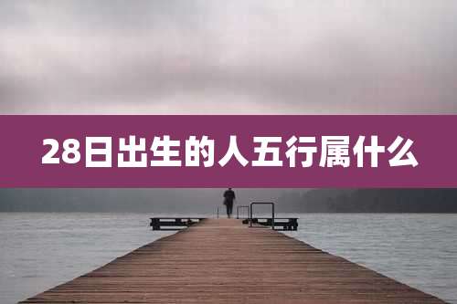 28日出生的人五行属什么