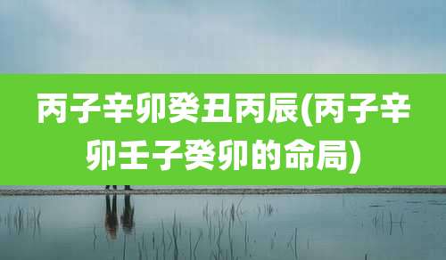 丙子辛卯癸丑丙辰(丙子辛卯壬子癸卯的命局)
