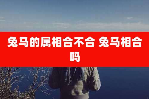 兔马的属相合不合 兔马相合吗