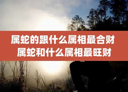 属蛇的跟什么属相最合财 属蛇和什么属相最旺财