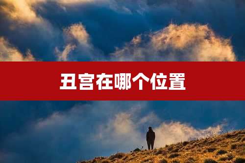 丑宫在哪个位置