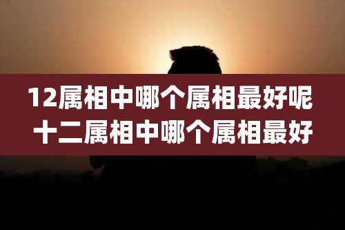 12属相中哪个属相最好呢 十二属相中哪个属相最好