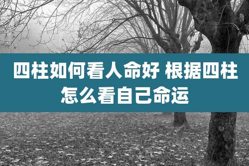 四柱如何看人命好 根据四柱怎么看自己命运