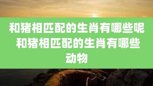 和猪相匹配的生肖有哪些呢 和猪相匹配的生肖有哪些动物