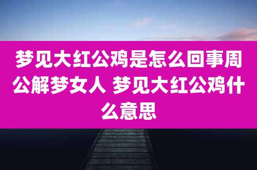 梦见大红公鸡是怎么回事周公解梦女人 梦见大红公鸡什么意思