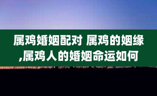 属鸡婚姻配对 属鸡的姻缘,属鸡人的婚姻命运如何
