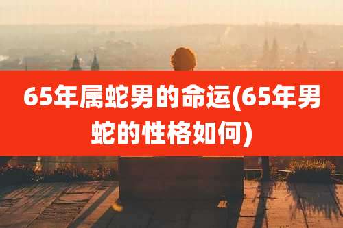 65年属蛇男的命运(65年男蛇的性格如何)