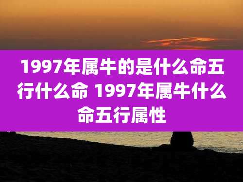 1997年属牛的是什么命五行什么命 1997年属牛什么命五行属性