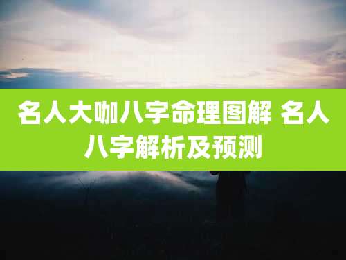 名人大咖八字命理图解 名人八字解析及预测
