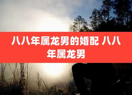 八八年属龙男的婚配 八八年属龙男