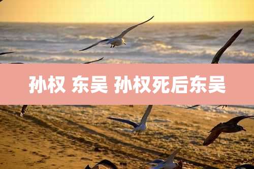 孙权 东吴 孙权死后东吴