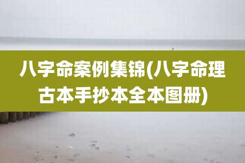 八字命案例集锦(八字命理古本手抄本全本图册)