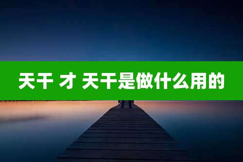 天干 才 天干是做什么用的