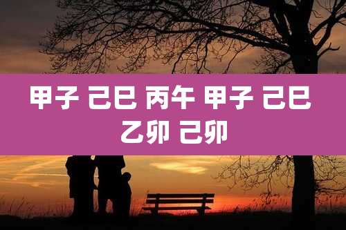甲子 己巳 丙午 甲子 己巳 乙卯 己卯
