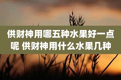供财神用哪五种水果好一点呢 供财神用什么水果几种