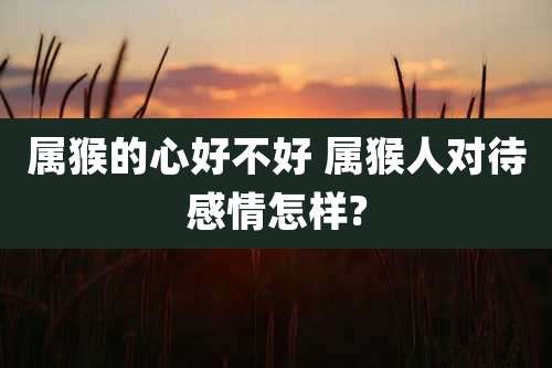 属猴的心好不好 属猴人对待感情怎样?