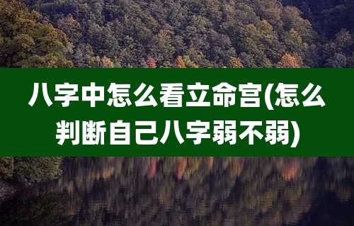 八字中怎么看立命宫(怎么判断自己八字弱不弱)