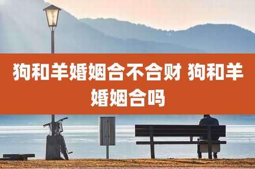 狗和羊婚姻合不合财 狗和羊婚姻合吗