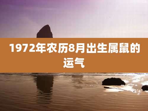 1972年农历8月出生属鼠的运气