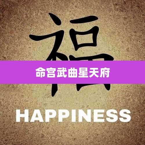 命宫武曲星天府