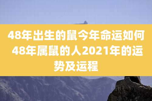 48年出生的鼠今年命运如何 48年属鼠的人2021年的运势及运程