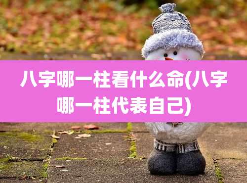 八字哪一柱看什么命(八字哪一柱代表自己)