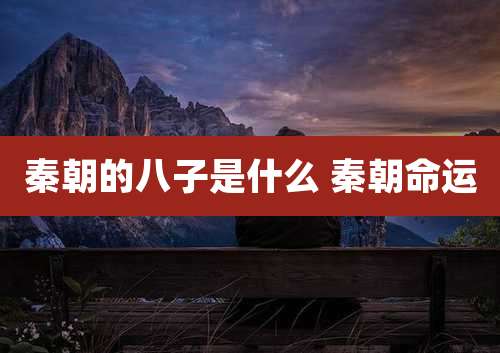 秦朝的八子是什么 秦朝命运