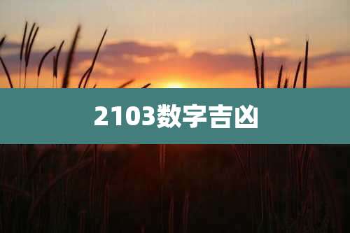 2103数字吉凶