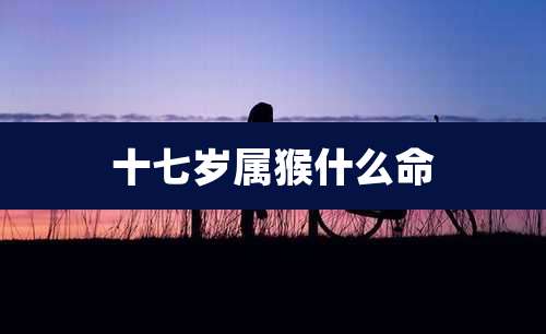 十七岁属猴什么命