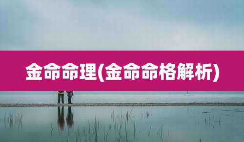 金命命理(金命命格解析)