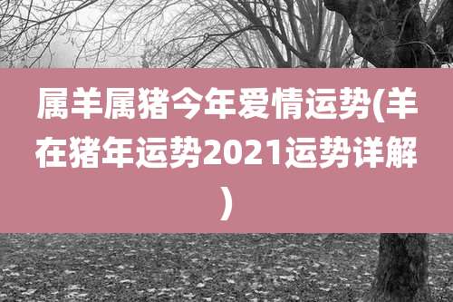 属羊属猪今年爱情运势(羊在猪年运势2021运势详解)