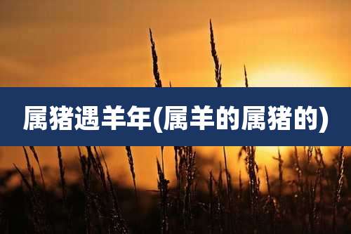 属猪遇羊年(属羊的属猪的)