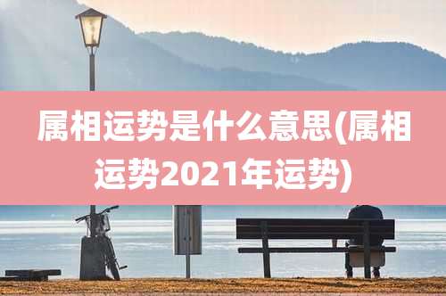 属相运势是什么意思(属相运势2021年运势)
