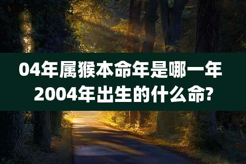 04年属猴本命年是哪一年 2004年出生的什么命?