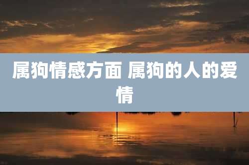 属狗情感方面 属狗的人的爱情