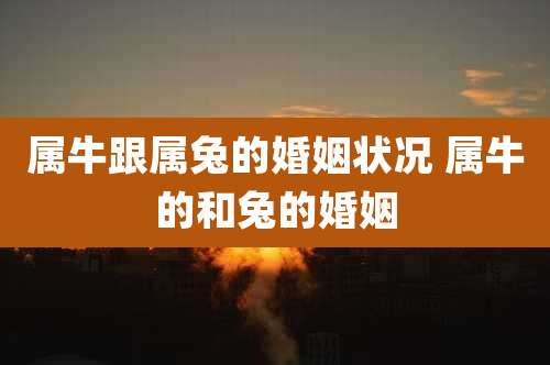 属牛跟属兔的婚姻状况 属牛的和兔的婚姻