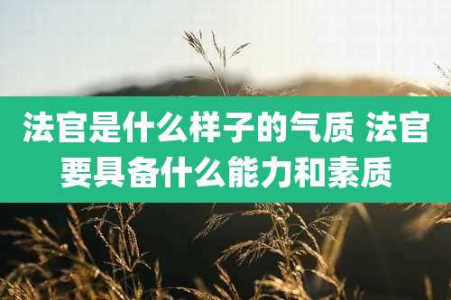 法官是什么样子的气质 法官要具备什么能力和素质