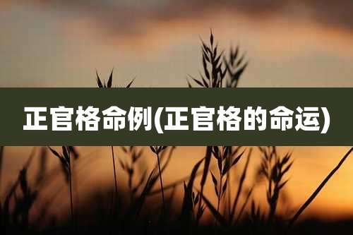 正官格命例(正官格的命运)