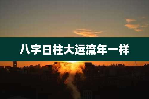 八字日柱大运流年一样