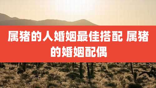 属猪的人婚姻最佳搭配 属猪的婚姻配偶