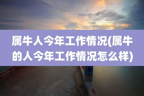 属牛人今年工作情况(属牛的人今年工作情况怎么样)