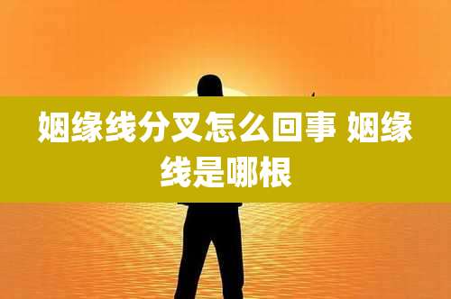 姻缘线分叉怎么回事 姻缘线是哪根