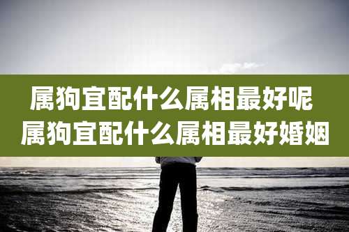 属狗宜配什么属相最好呢 属狗宜配什么属相最好婚姻