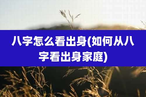 八字怎么看出身(如何从八字看出身家庭)