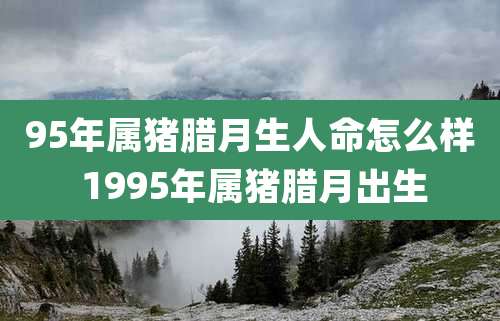 95年属猪腊月生人命怎么样 1995年属猪腊月出生