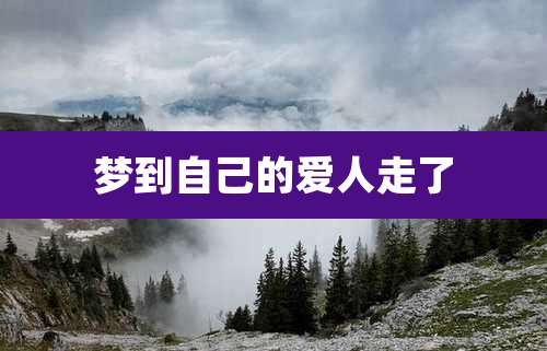 梦到自己的爱人走了