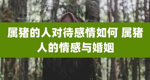 属猪的人对待感情如何 属猪人的情感与婚姻