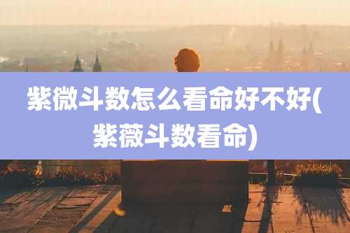 紫微斗数怎么看命好不好(紫薇斗数看命)