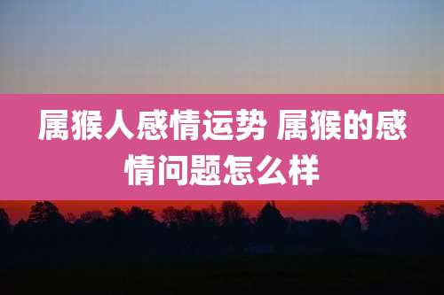 属猴人感情运势 属猴的感情问题怎么样
