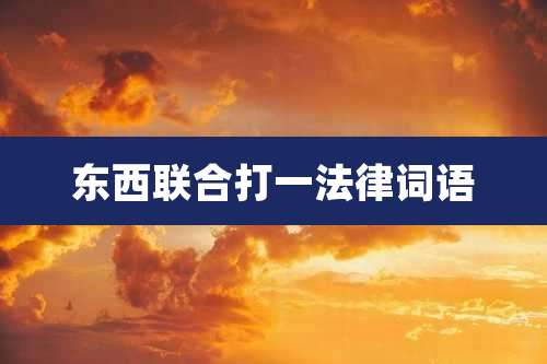 东西联合打一法律词语